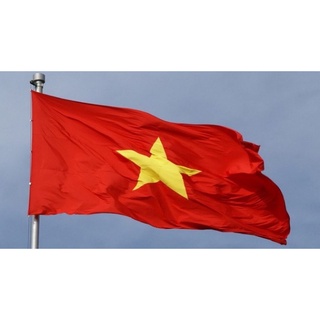 LÁ CỜ TỔ QUỐC VIỆT NAM (LOẠI PHI BÓNG)
