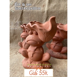 CHẬU ĐẤT NUNG ẾCH LÁ SEN