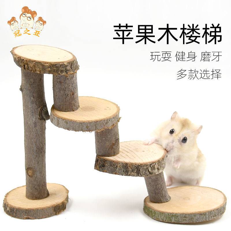Đồ chơi thang leo bằng gỗ cho chuột Hamster