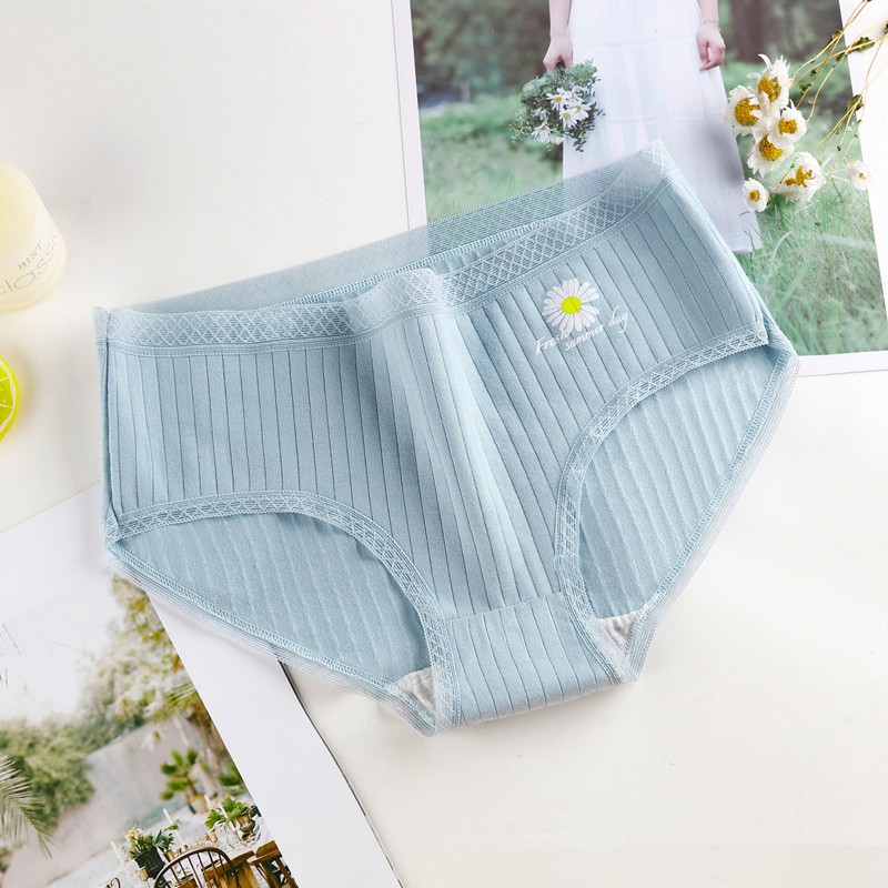 Quần Lót Cotton In Hình Hoa Cúc Xinh Xắn Cho Nữ | BigBuy360 - bigbuy360.vn