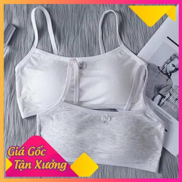 [SIÊU SALE Áo Bra Học Sinh,Bé Gái Có Đệm Ngực | BigBuy360 - bigbuy360.vn