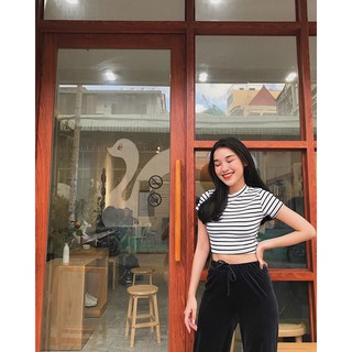 Áo Croptop Cổ Tròn, Tay Ngắn (Sọc - Bảng Màu Mới)