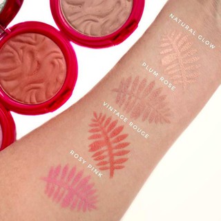 Phấn má Physicians Formula Murumuru Butter Blush