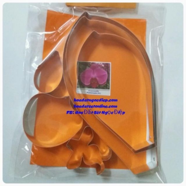 KHUÔN LAN HỒ ĐIỆP ĐẠI