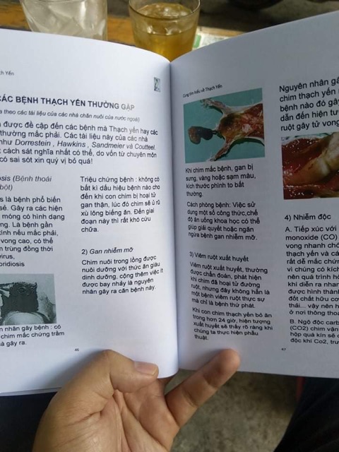 Bộ 3 tài liệu nuôi chim