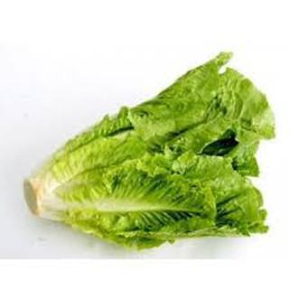 2gram HẠT GIỐNG XÀ LÁCH ROMAINE