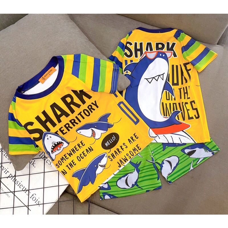 Bộ 3D thun lạnh bé trai