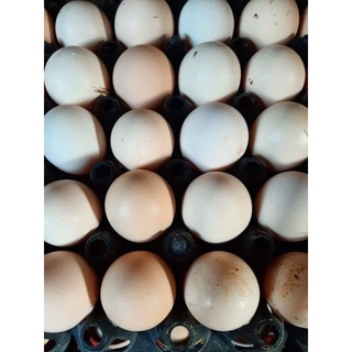 Trứng gà ta truyền thống (10 quả) (Giao hàng hỏa tốc)