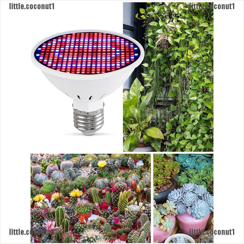 Đèn LED Kích Thích Tăng Trưởng Thủy Canh Spectrum 300 LED MR16