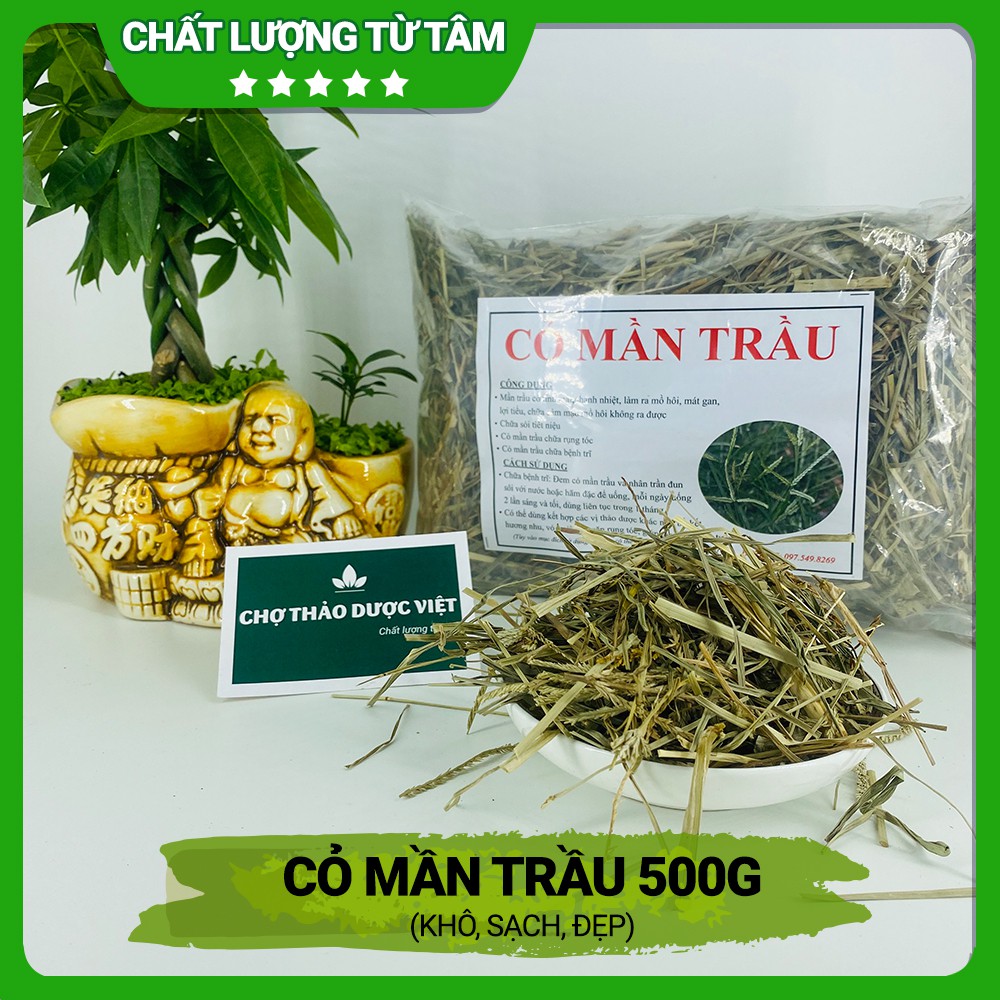 500g Cỏ Mần Trầu
