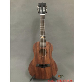 Đàn ukulele concert 23inch mt23