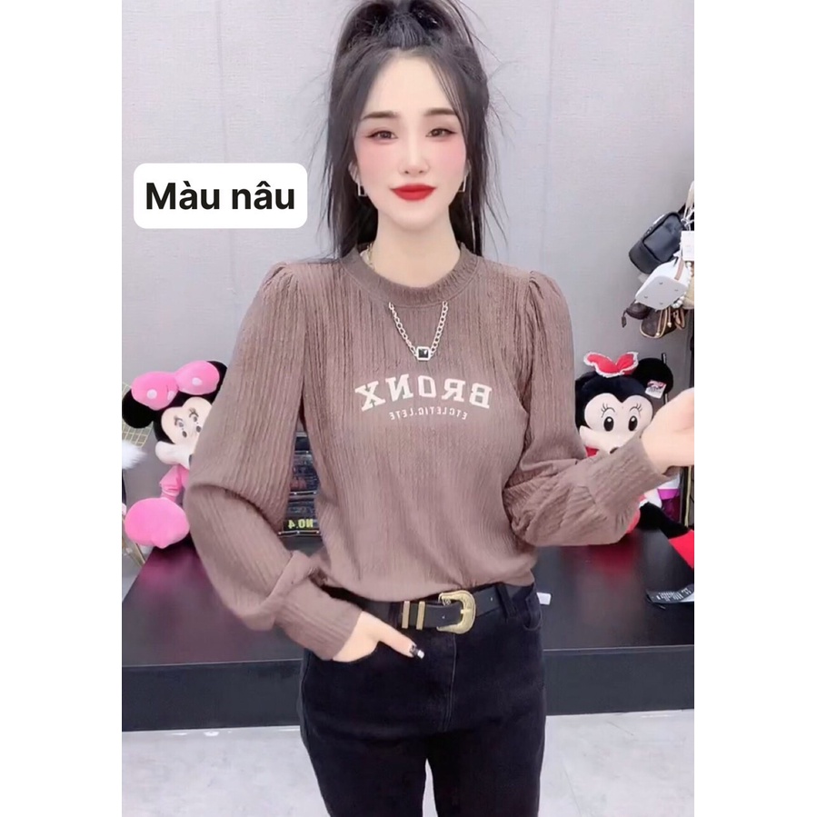 Áo kiểu nữ dài tay thu đông kiểu dáng thời trang (mã A3)