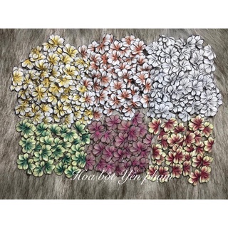 Hoa bột nữa vẽ, hoa bột mỹ 100%