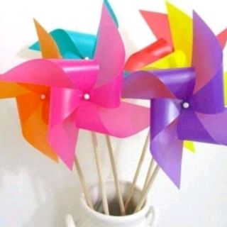 Chong chóng cây 100 cái 25cm