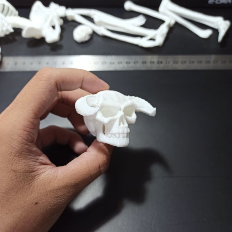 Mô hình đầu lâu quỷ 2 sừng trâu cao 38mm, tỉ lệ 1:6, trang trí tiểu cảnh, kinh dị, halloween, chuồng bò sát