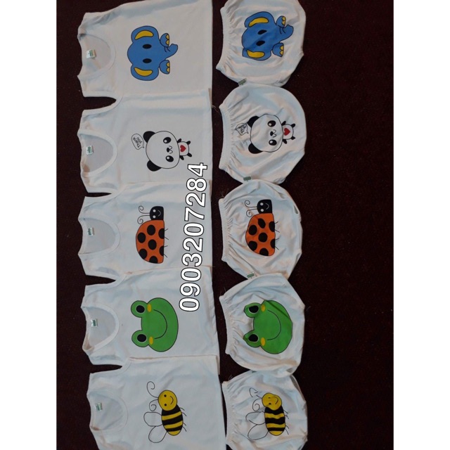 Set 5 bộ Chip Cotton 