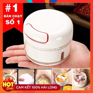 Máy say tỏi ớt đa năng bằng tay mini