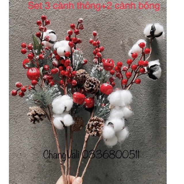 set 5 Cành thông noel cắm lọ,trang trí dài 55cm