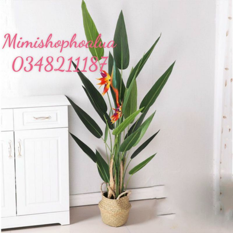 Cây giả - cây thiên điểu cao 1,2met -1.6met - 1,8 met - trang trí nhà cửa