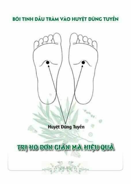 Tinh dầu tràm đặc biệt Viên Minh 15ml