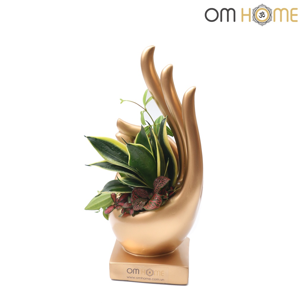 Ấn Vô Úy Có Cây Om Home
