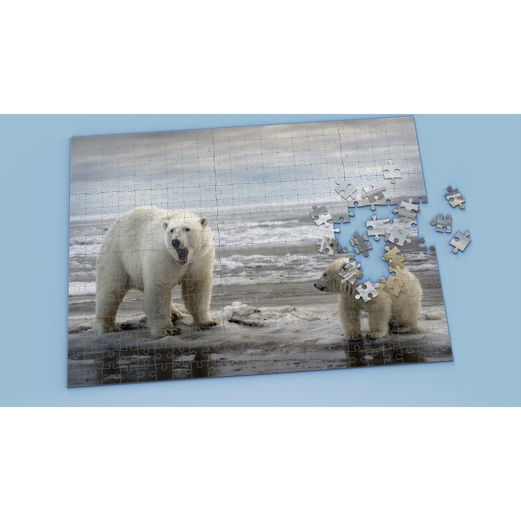 Tranh ghép hình Animal - Tranh ghép hình POLAR BEAR - Mẫu 1 - Nhận in hình tranh ghép theo yêu cầu