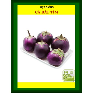1G - Hạt Giống Cà Bát Tím