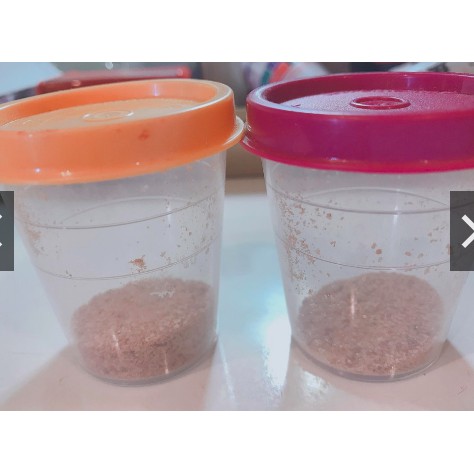 Hộp đựng thực phẩm Tupperware Midget