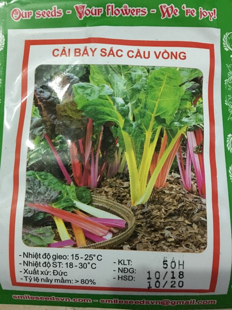 Hạt giống cải bảy sắc cầu vồng 100 hat/goi