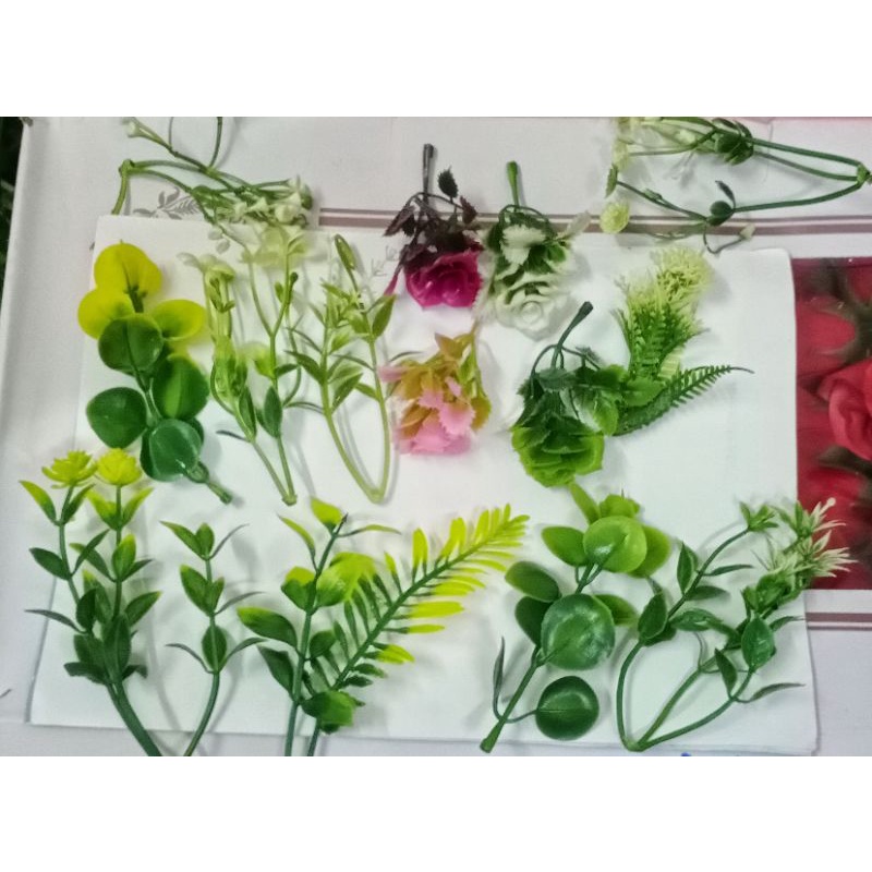 Cỏ điểm gói mix đủ các mẫu dòng cao cấp