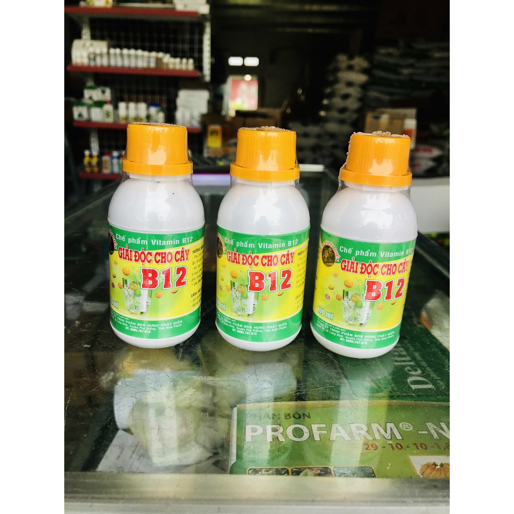 Chế phẩm Vitamin B12 chống sốc, giải độc cho cây - Chai 100 ml