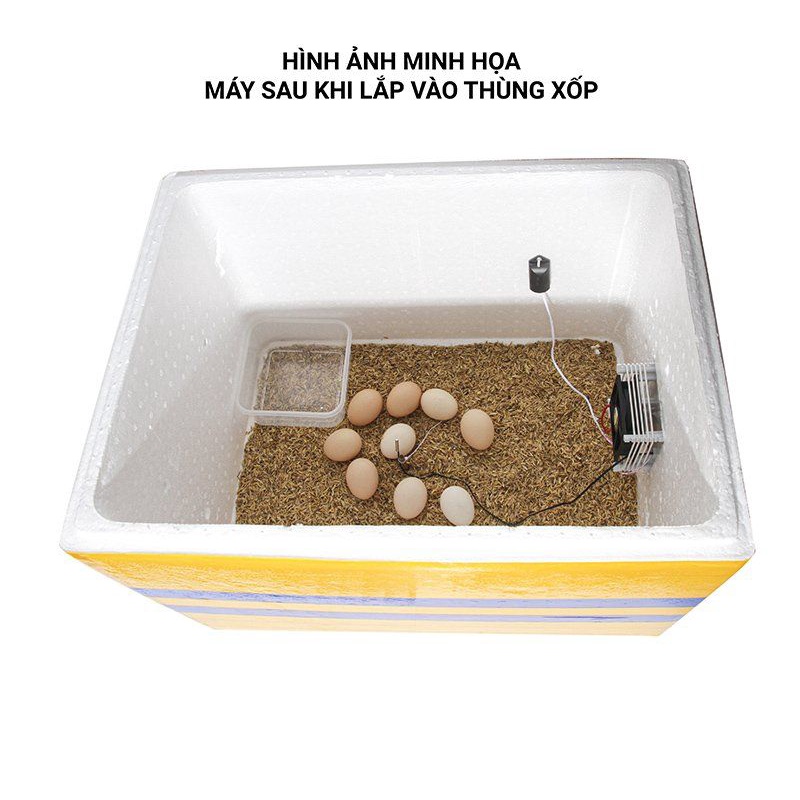 Máy Ấp Trứng Ánh Dương P100.