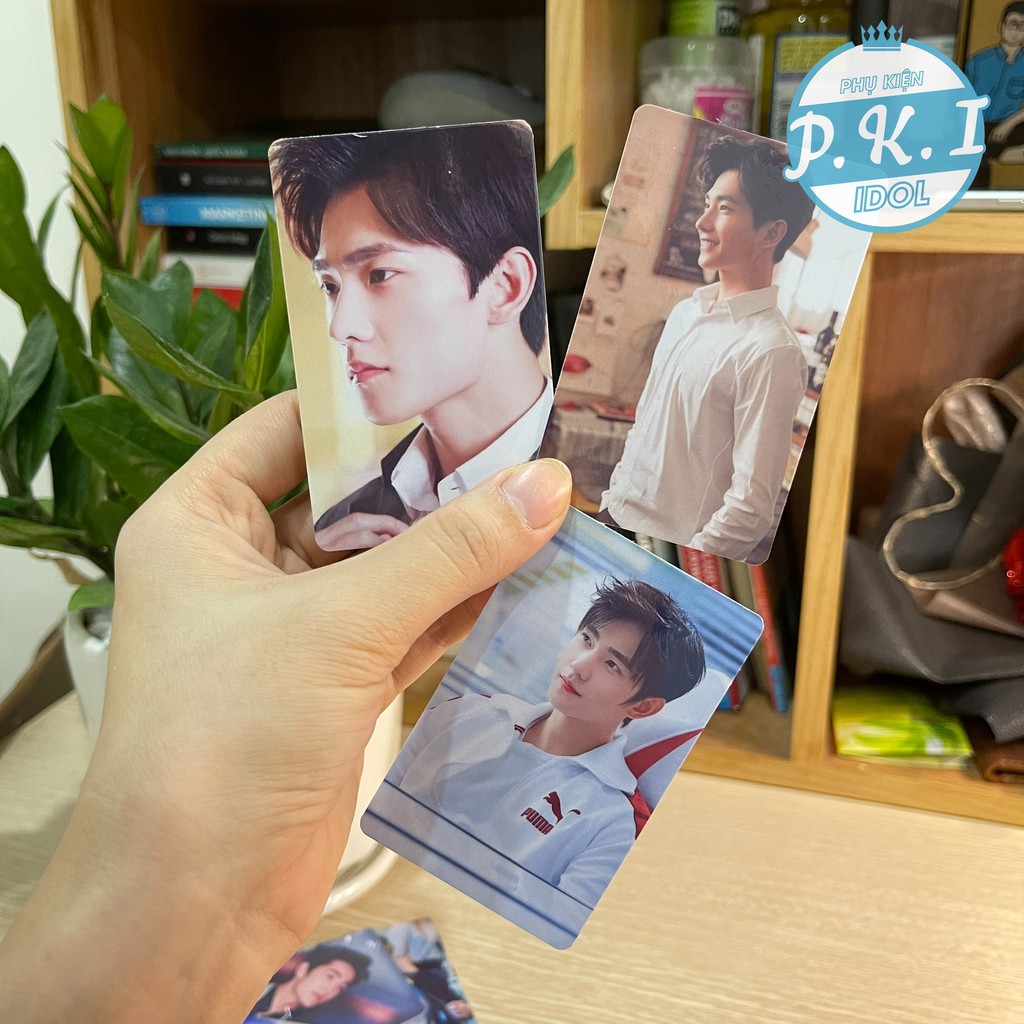 Bộ Card Thẻ Dương Dương - Ảnh Dương Dương Bo Góc ÉP LỤA - 3 SET TÙY CHỌN