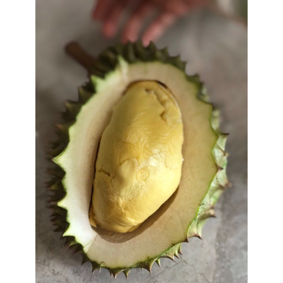 HÀ NỌI Sầu riêng cấp đông tách hạt nguyên chất🚀FREE SHIP🚀thơm ngon, dễ sử dụng