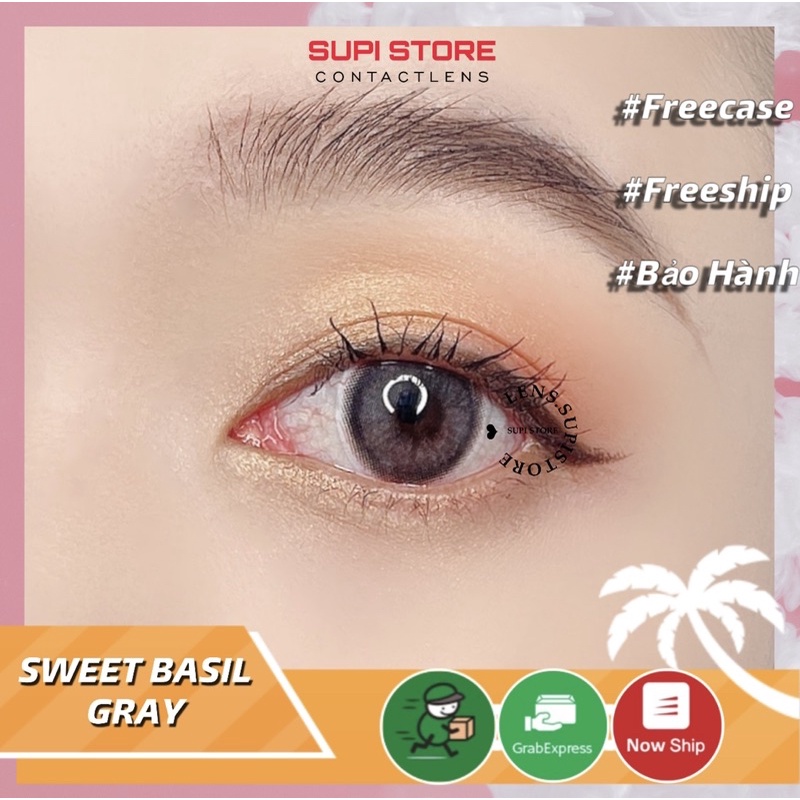 BST Lens Nâu và Xám Tự Nhiên ⛅ FREESHIP ⚡️ free case đựng lens ⚡️ Lens Xám Tây 💥 Không giãn tròng [ Mini ]