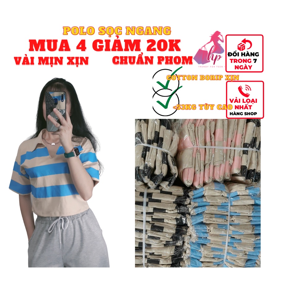 áo polo nữ tay lỡ phom thường rộng cổ bẻ sọc ngang thun cotton borip xịn kiểu hàn quốc mẫu mới