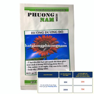 30H - HẠT GIỐNG HOA HƯỚNG DƯƠNG ĐỎ