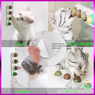 COMBO CATNIP - CỎ BẠC HÀ MÈO CAO CẤP DƯỠNG LÔNG - VITAMIN GIẢM STRESS, CÂN BẰNG DINH DƯỠNG CHO THÚ CƯNG