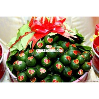 cau tứ quý