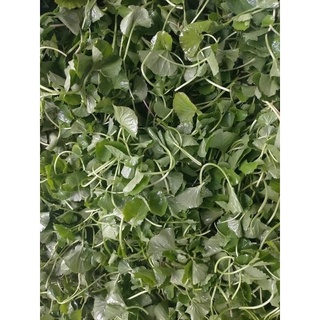 Bột rau má nguyên chất gói 100g