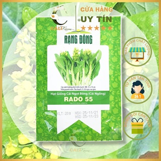 Hạt Giống Cải Ngọt Bông (Cải Ngồng) Rado 55