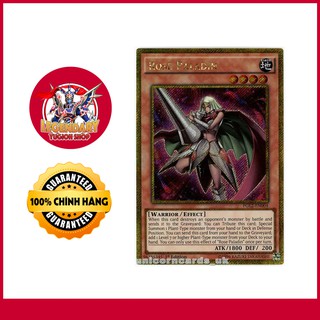 Rose Paladin