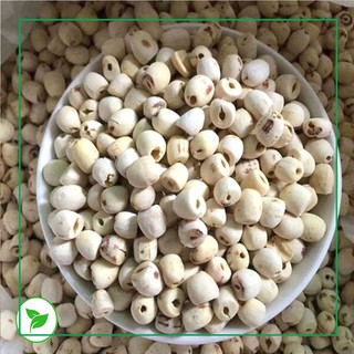 [5 tặng 1] Hạt Nấu Sữa - Set Đậu Đỏ Mix