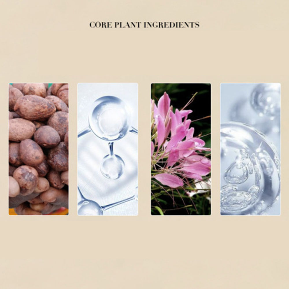 [Hàng mới về] Son dưỡng môi chiết xuất bơ hạt mỡ không thấm nước lâu trôi dưỡng ẩm cho nữ | BigBuy360 - bigbuy360.vn