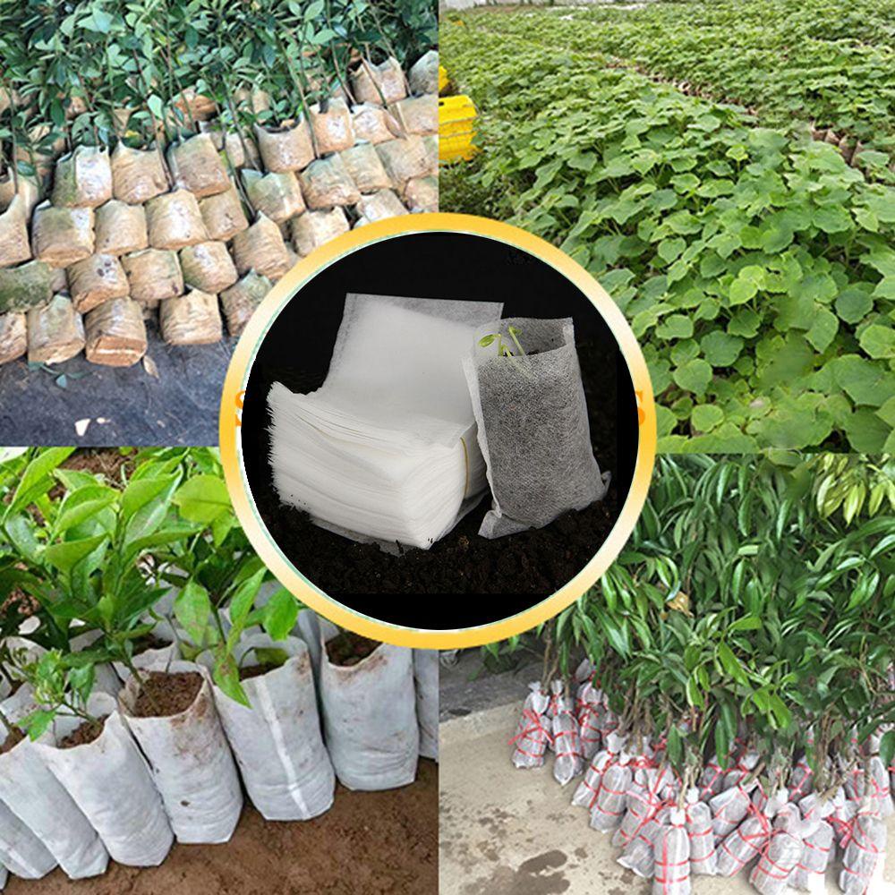 Bộ 100 Túi Trồng Cây Thân Thiện Với Môi Trường