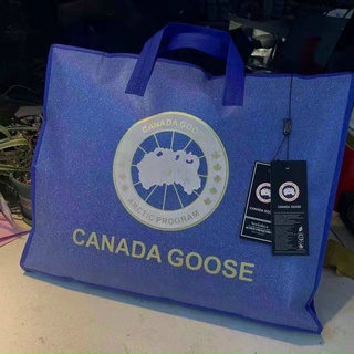 Chăn lụa tơ tằm/ Chăn hè xuất dư Canada goose