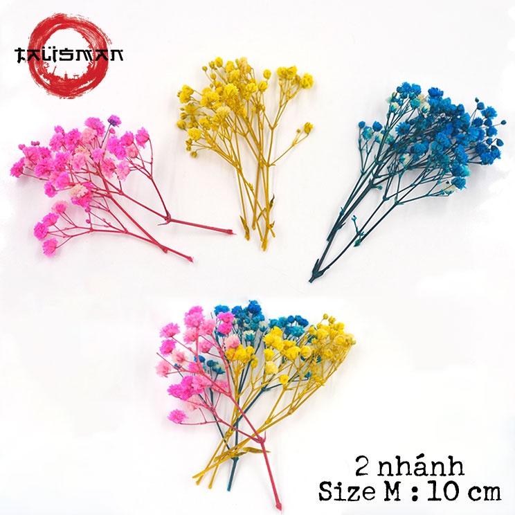 Nhánh hoa baby mini khô vĩnh cửu làm quà tặng, trang trí decor vintage, resin, trang trí