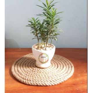 Dây ruybang lụa bảng 1cm ( ~ 20-22m)