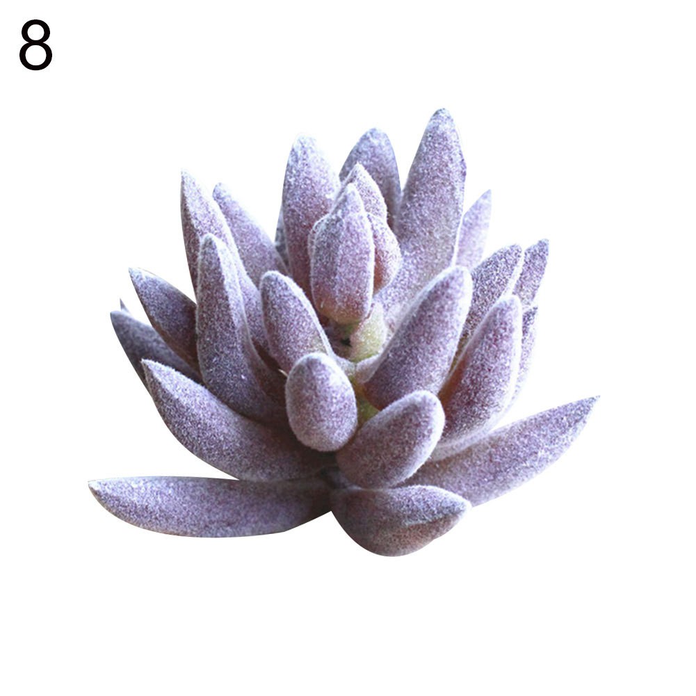 1 Chậu Cây Bonsai Giả Trang Trí Nội Thất