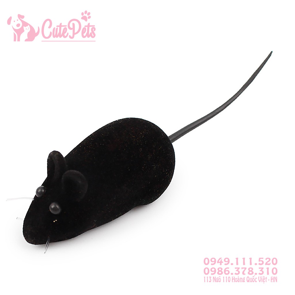 Đồ chơi chuột chút chít dành cho thú cưng - CutePets Phụ kiện chó mèo Pet shop Hà Nội
